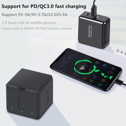 RUIGPRO 5V 3A QC 3.0 + PD Quick Charger Power Adapter for DJI OSMO Action, US Plug -  by PMC Jewellery | Online Shopping South Africa | PMC Jewellery | Buy Now Pay Later Mobicred