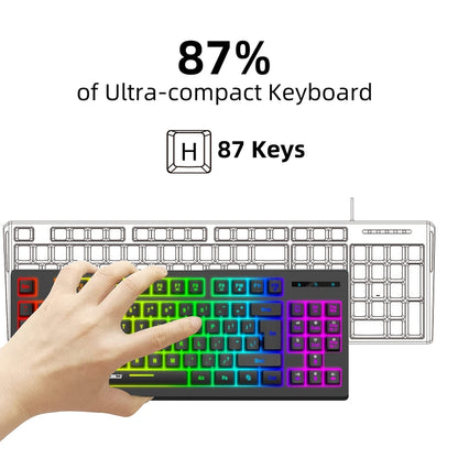 HXSJ L100 87 Keys RGB Backlit Film 2.4G Wireless Keyboard(Black) - Wireless Keyboard by HXSJ | Online Shopping South Africa | PMC Jewellery