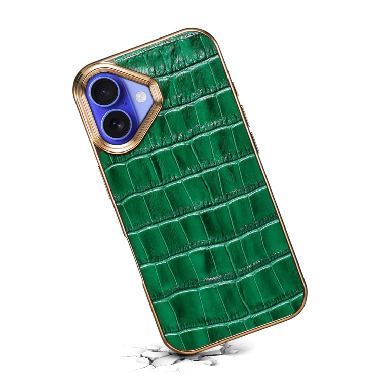 For iPhone 16 Denior Crocodile Texture Genuine Leather Electroplating Phone Case(Green) - More iPhone Cases by Denior | Online Shopping South Africa | PMC Jewellery | Buy Now Pay Later Mobicred