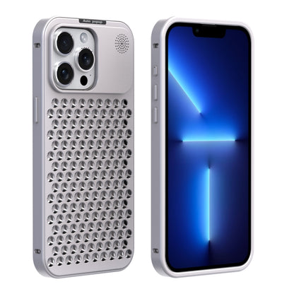 For iPhone 12 Pro Max R-JUST RJ58 Aromatherapy Metal Cooling Phone Case(Silver) - iPhone 12 Pro Max Cases by R-JUST | Online Shopping South Africa | PMC Jewellery