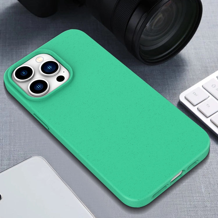 For iPhone 16 Wheat Straw TPU Phone Case(Blue) - iPhone 16 Cases by PMC TechLife | Online Shopping South Africa | PMC TechLife | Buy Now Pay Later Mobicred