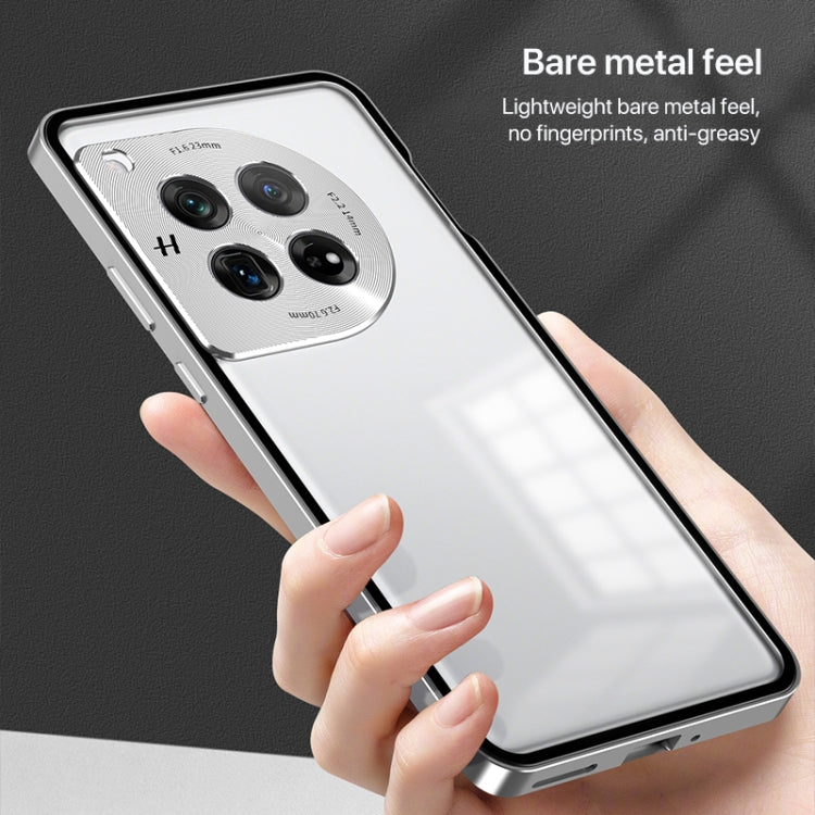 For OnePlus 13 Snap Buckle Single-sided Metal Frame Frosted Phone Case(Silver) - OnePlus Cases by PMC TechLife | Online Shopping South Africa | PMC TechLife | Buy Now Pay Later Mobicred