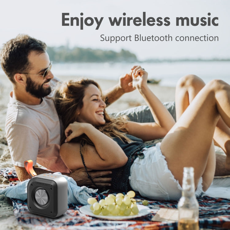 XDOBO Prince 1995 IPX7 Waterproof Portable Wireless Bluetooth Speaker Outdoor Subwoofer - Desktop Speaker by XDOBO | Online Shopping South Africa | PMC Jewellery | Buy Now Pay Later Mobicred