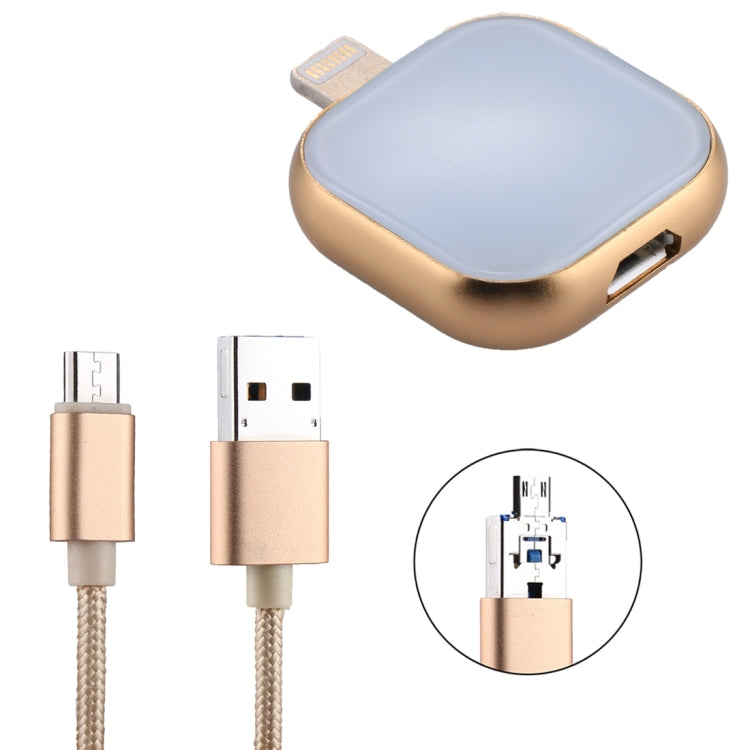 RQW-18S 8 Pin 64GB Multi-functional Flash Disk Drive with USB / Micro USB to Micro USB Cable(Gold) - U Disk & Card Reader by PMC Jewellery | Online Shopping South Africa | PMC Jewellery | Buy Now Pay Later Mobicred