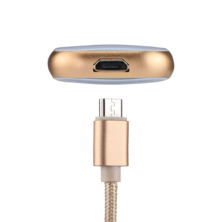 RQW-18S 8 Pin 128GB Multi-functional Flash Disk Drive with USB / Micro USB to Micro USB Cable(Gold) - U Disk & Card Reader by PMC Jewellery | Online Shopping South Africa | PMC Jewellery | Buy Now Pay Later Mobicred