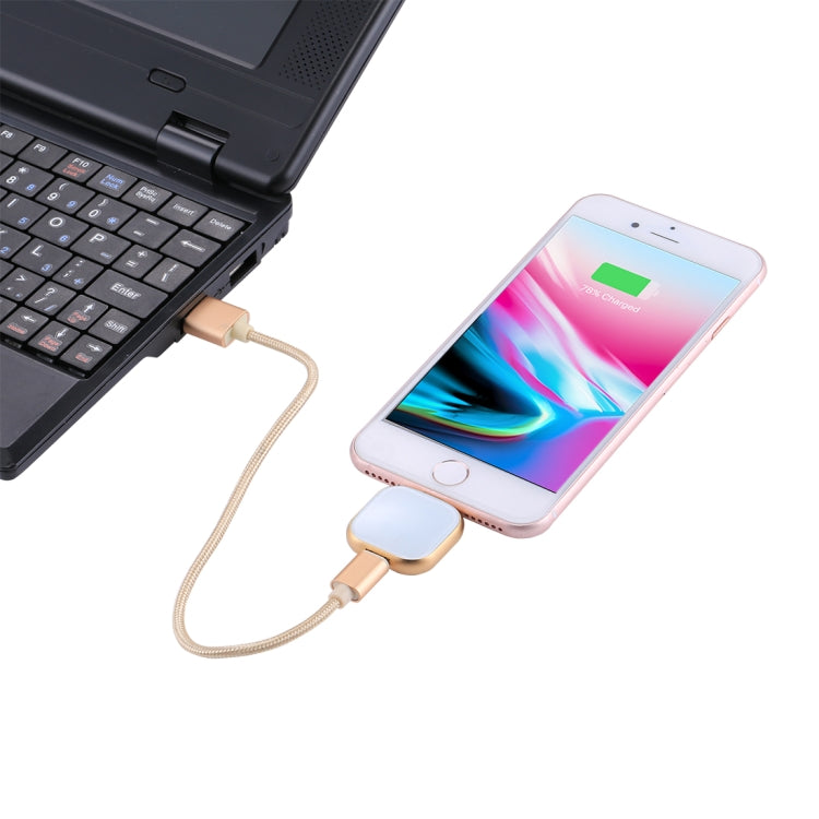 RQW-18S 8 Pin 16GB Multi-functional Flash Disk Drive with USB / Micro USB to Micro USB Cable(Gold) - U Disk & Card Reader by PMC Jewellery | Online Shopping South Africa | PMC Jewellery | Buy Now Pay Later Mobicred