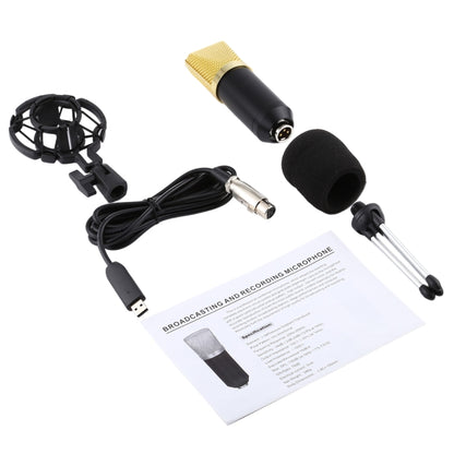 BM-700 USB Professional Condenser Microphone - Microphone by PMC Jewellery | Online Shopping South Africa | PMC Jewellery | Buy Now Pay Later Mobicred