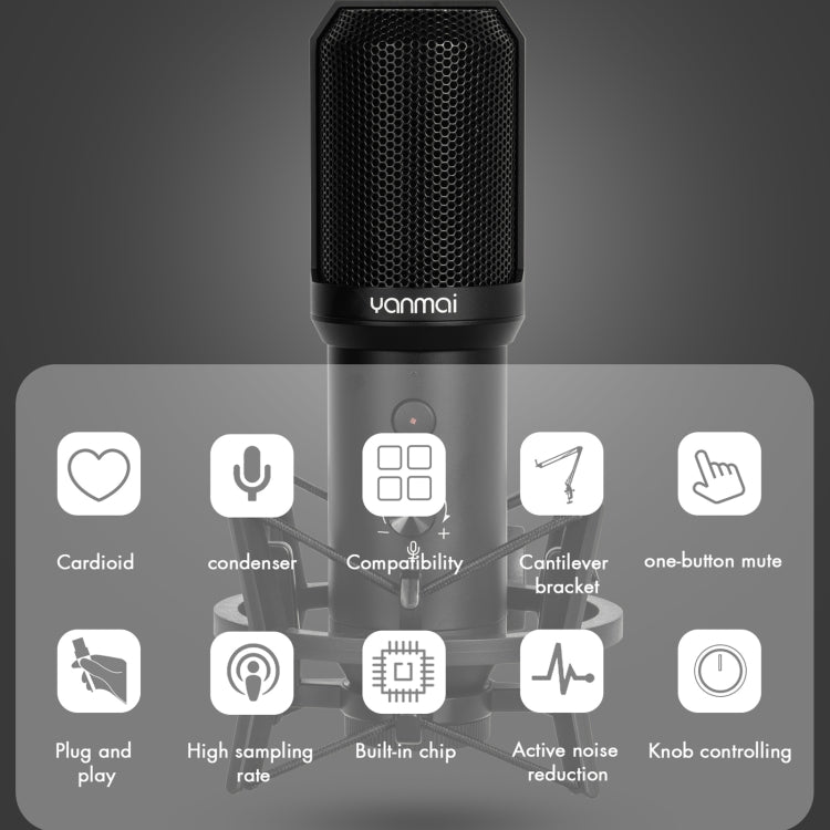 Yanmai Q10B USB Recording Microphone Kit - Microphone by Yanmai | Online Shopping South Africa | PMC Jewellery | Buy Now Pay Later Mobicred