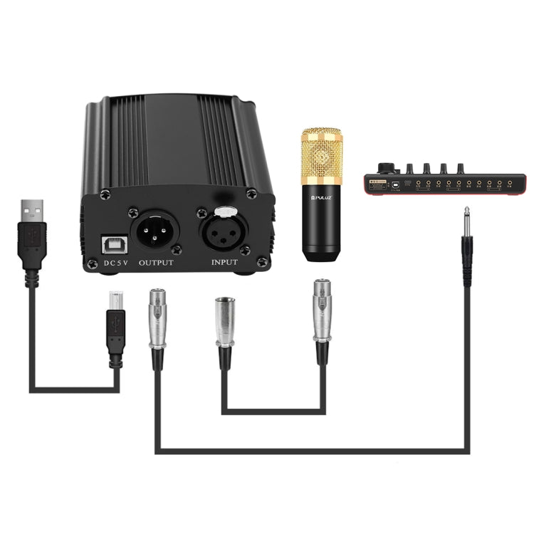 PULUZ Condenser Microphone Studio Broadcast Professional Singing Microphone Kits with Suspension Scissor Arm & Metal Shock Mount & USB Sound Card, Power By 48V(Gold) - Microphone by PULUZ | Online Shopping South Africa | PMC Jewellery | Buy Now Pay Later Mobicred