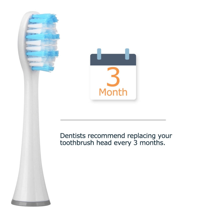 4 PCS D903/D904 Replacement Brush Heads for Mornwel D01(White) - Replacement Brush Heads by PMC TechLife | Online Shopping South Africa | PMC TechLife | Buy Now Pay Later Mobicred