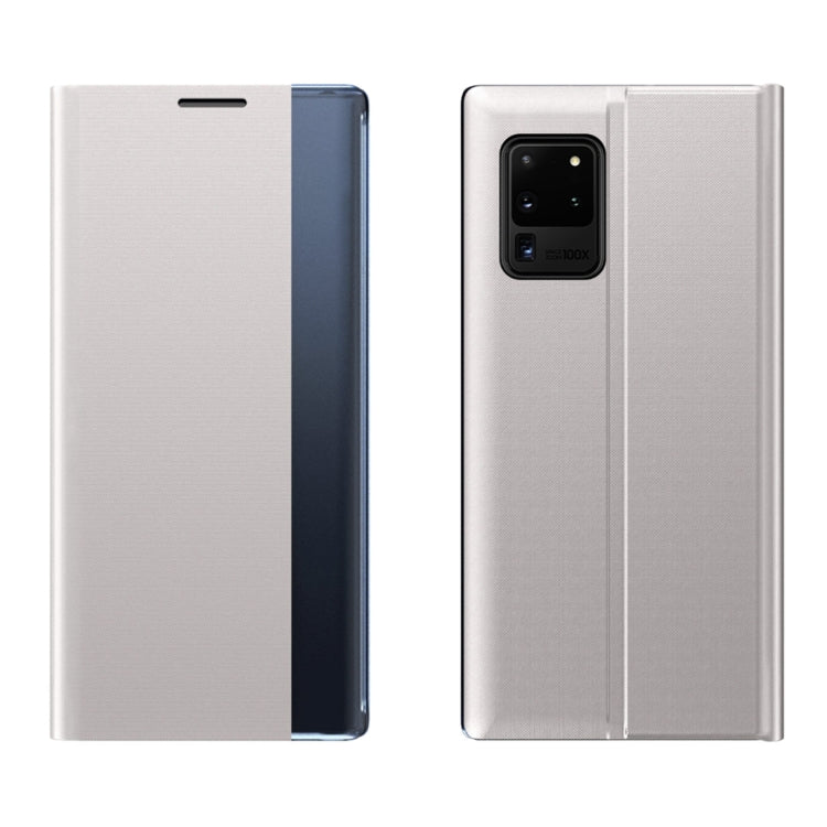 For Samsung Galaxy Note20 Plain Texture Cloth Attraction Flip Holder Leather Phone Case(Silver) - Galaxy Note20 Cases by PMC TechLife | Online Shopping South Africa | PMC TechLife