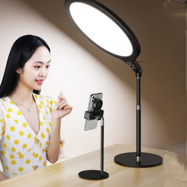 10 inch 26cm Live Broadcast Photography Desktop Beauty Fill Light Bracket, Style:Medium Version+Bracket(Black) - Selfie Light by PMC Jewellery | Online Shopping South Africa | PMC Jewellery | Buy Now Pay Later Mobicred