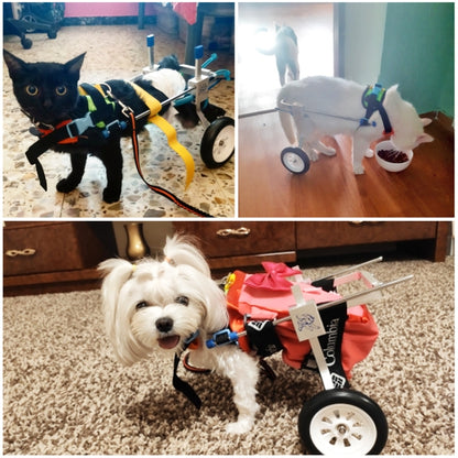 Pet Wheelchair Disabled Dog Old Dog Cat Assisted Walk Car Hind Leg Exercise Car For Dog/Cat Care, Size:XXXS - Training Aids by PMC Jewellery | Online Shopping South Africa | PMC Jewellery | Buy Now Pay Later Mobicred