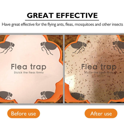 Household Flea Traps Drug-free Insect Trap Lamp, Plug Type:AU Plug - Traps by PMC Jewellery | Online Shopping South Africa | PMC Jewellery | Buy Now Pay Later Mobicred