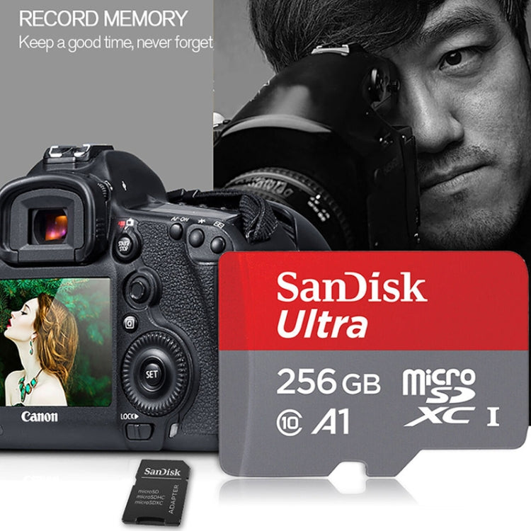 SanDisk A1 Monitoring Recorder SD Card High Speed Mobile Phone TF Card Memory Card, Capacity: 256GB-100M/S - Micro SD Card by SanDisk | Online Shopping South Africa | PMC Jewellery | Buy Now Pay Later Mobicred