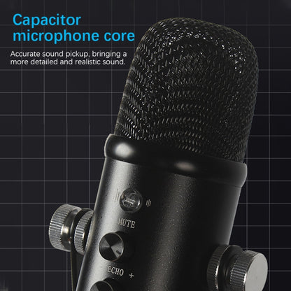 BM-86 USB Condenser Microphone Voice Recording Computer Microphone Live Broadcast Equipment Set, Specification: Standard+Small Blowout Prevention Net - Microphone by PMC Jewellery | Online Shopping South Africa | PMC Jewellery | Buy Now Pay Later Mobicred