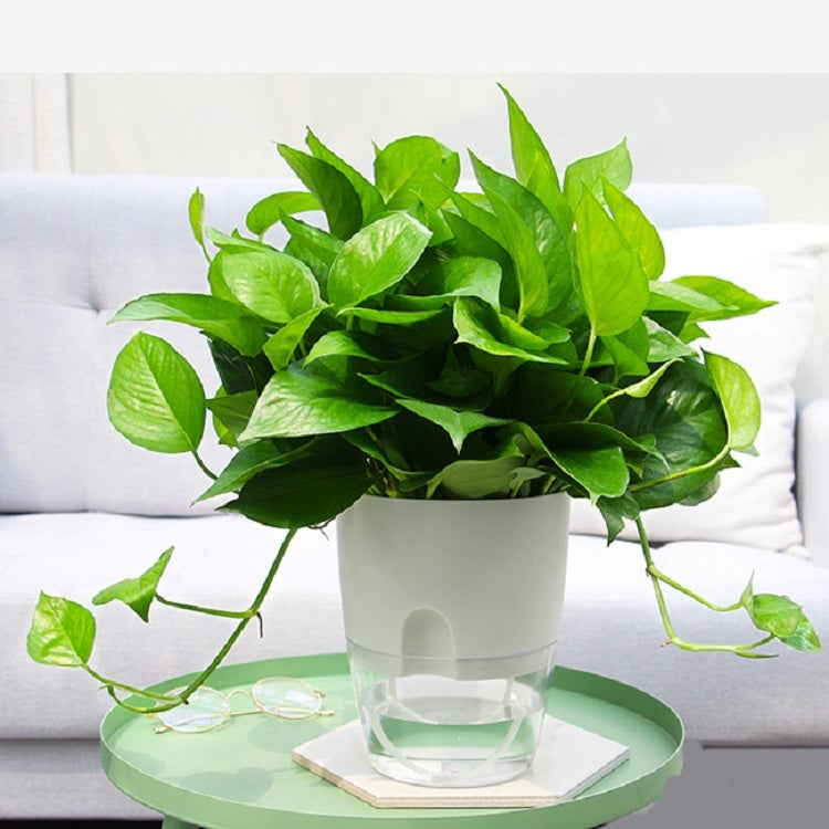 Transparent Plastic Double-Layer Water Storage Automatic Water-Absorbing Flowerpot, Size: A709 Caliber 23.5cm(White Transparent Basin) - Flower Pots & Planters by PMc TechLife | Online Shopping South Africa | PMc TechLife | Buy Now Pay Later Mobicred
