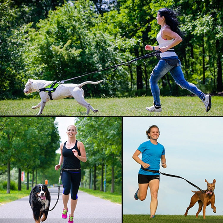 Pet Run Traction Rope Portable Waist Bag(Orange) - Leashes & Chest Strap by PMC TechLife | Online Shopping South Africa | PMC TechLife | Buy Now Pay Later Mobicred