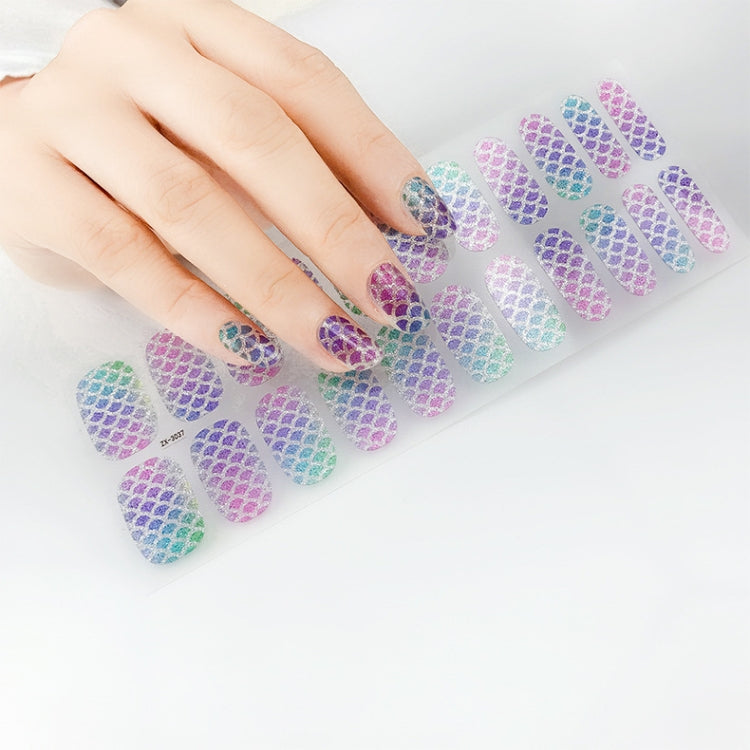 22 Fingers Shiny Onion Powder Starry Waterproof Nail Sticker(ZX-3041) - Nail Stickers by PMC Jewellery | Online Shopping South Africa | PMC Jewellery | Buy Now Pay Later Mobicred