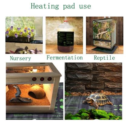 20 x 10 inch Digital Display Seedling Heating Pad With Timed Temperature Adjustment(EU Plug 230V) - Plant Support & Care by PMC Jewellery | Online Shopping South Africa | PMC Jewellery