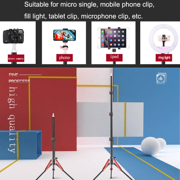 Aluminum Alloy Folding Mobile Phone Stand Live Selfie Floor Stand(Red) - Stand by PMC TechLife | Online Shopping South Africa | PMC TechLife | Buy Now Pay Later Mobicred