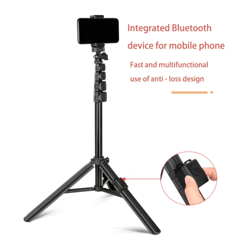 QingZhuangShiDai ZP100B Aluminum Alloy Floor Phone Stand Live Bluetooth Phone Selfie Stick - Selfie Sticks by Qingzhuangshidai | Online Shopping South Africa | PMC Jewellery | Buy Now Pay Later Mobicred