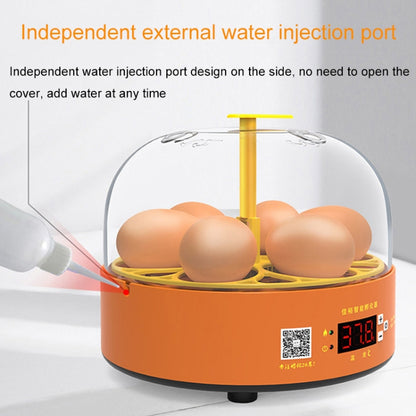 6-Eggs Small Household Experimental Children Smart Chicken Incubators, Spec: Automatic UK Plug - Incubators by PMC Jewellery | Online Shopping South Africa | PMC Jewellery