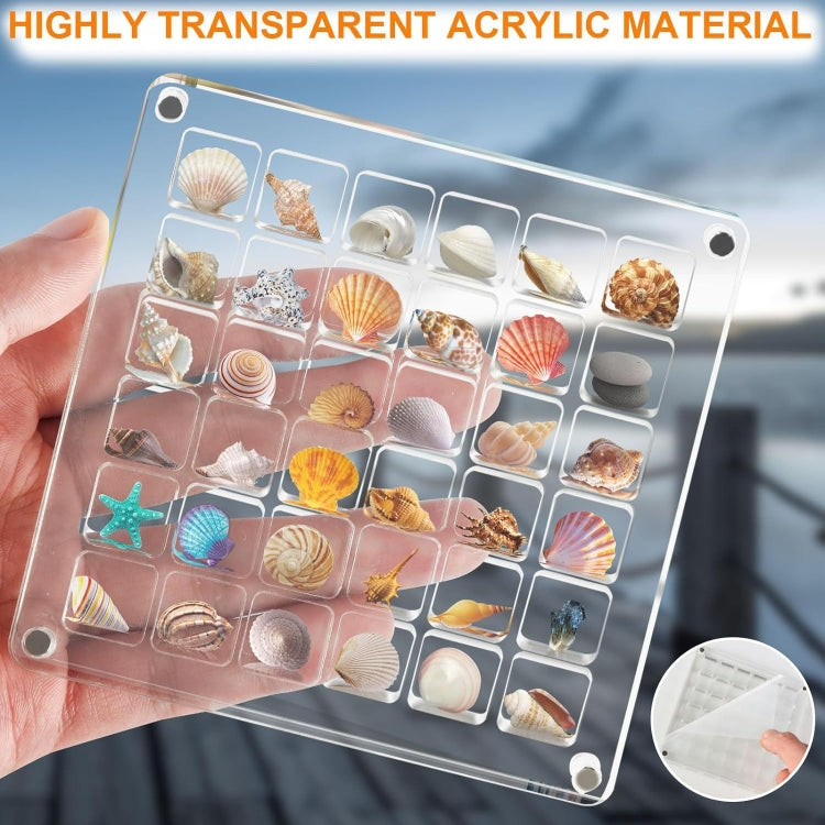 36 Grids Acrylic Magnetic Seashell Storage Display Box Beads Jewelry Nail Art Storage Box - Jewelry Storages by PMC Jewellery | Online Shopping South Africa | PMC Jewellery