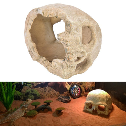 Fish Tank Aquarium Decoration Spider Lizard Snake Python Skull Breeding House Hiding Ornament(Pirate Skull) - Reptile Supplies by PMC Jewellery | Online Shopping South Africa | PMC Jewellery