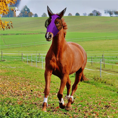 MMZ-001 Breathable Horse Mask Mosquito Insect And Fly Mask Equestrian Supplies(Blue) - Horse Racing by PMC Jewellery | Online Shopping South Africa | PMC Jewellery