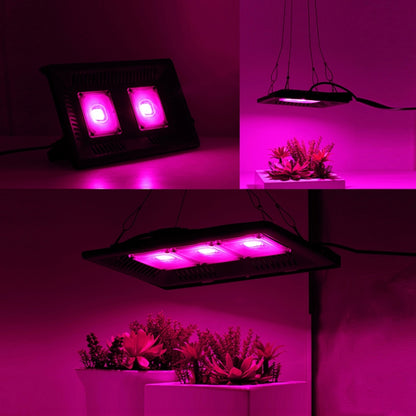 150W Ultra-Thin LED Plant Light, Full Spectrum COB Growth Light, Vegetable, Fruit & Flower Greenhouse Fill Light With Plug, Specification:EU Plug - LED Grow Lights by PMC Jewellery | Online Shopping South Africa | PMC Jewellery