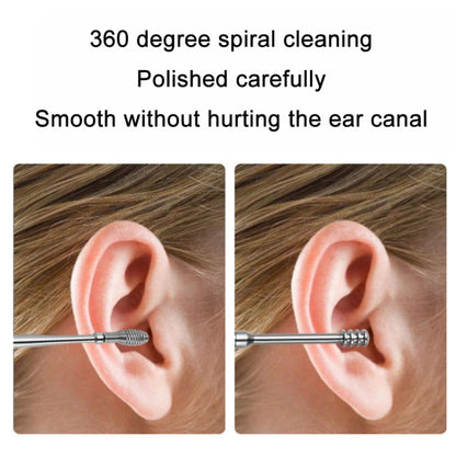 5 Sets 6 In 1 Stainless Steel Spring Spiral Portable Ear Pick, Specification: Black Leather Case - Ear Care Tools by PMC Jewellery | Online Shopping South Africa | PMC Jewellery