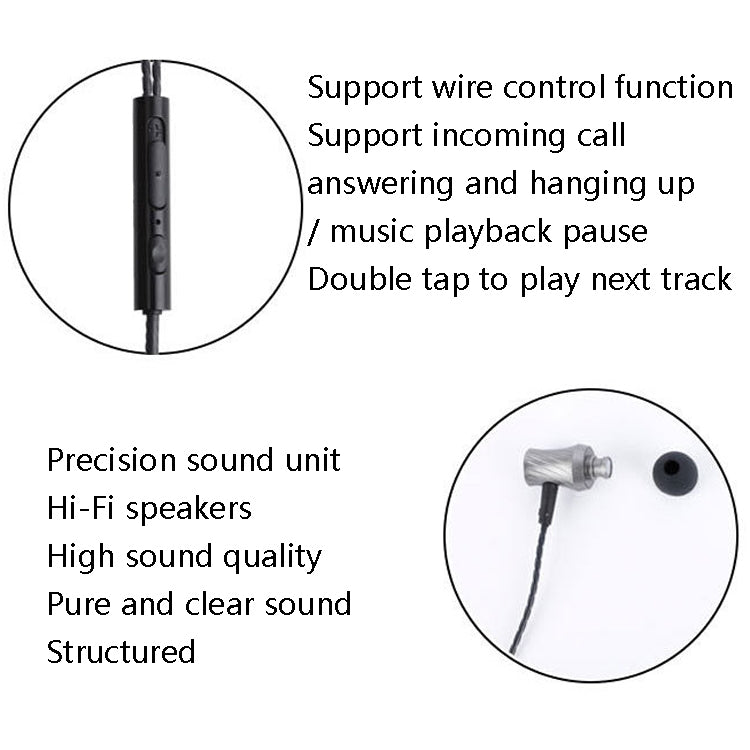 2 PCS TS1812 Type-C Plug In-Ear Digital Wired Earphone With Mic(Black) - Type-C Earphone by PMC TechLife | Online Shopping South Africa | PMC TechLife